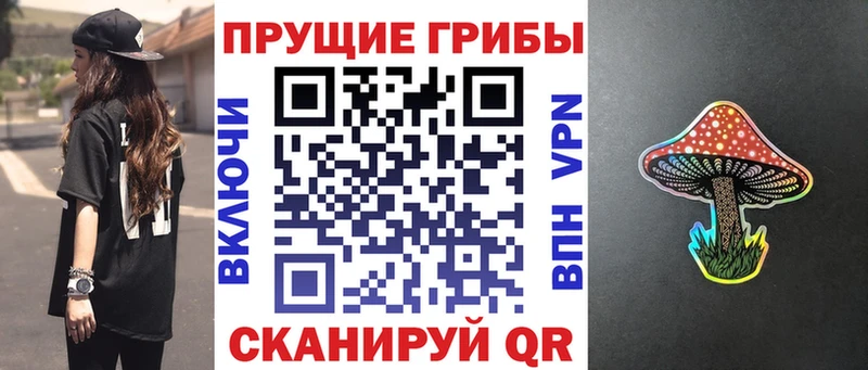 Псилоцибиновые грибы ЛСД  Кубинка 