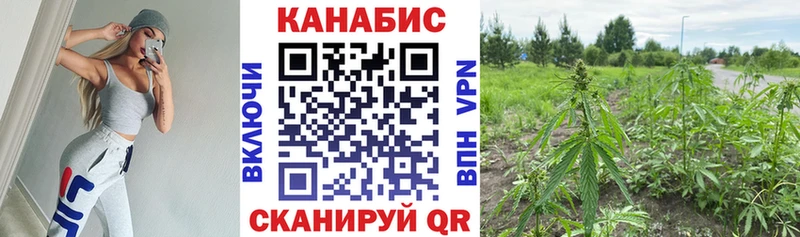 где найти наркотики  Кубинка  Марихуана Amnesia 